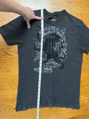 Express lion Graphic Crewneck T-Shirt